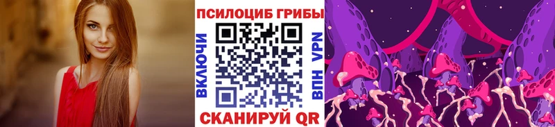Галлюциногенные грибы Psilocybine cubensis  Купить закладки  Сухиничи 